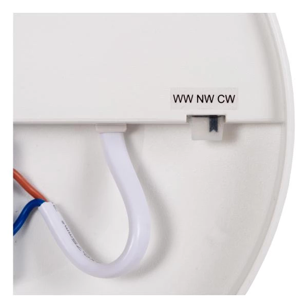 Lucide OLSON - Plafonnière Badkamer - Ø 29 cm - LED - CCT - 1x24W 3000K/6500K - IP44 - Opaal - detail 3